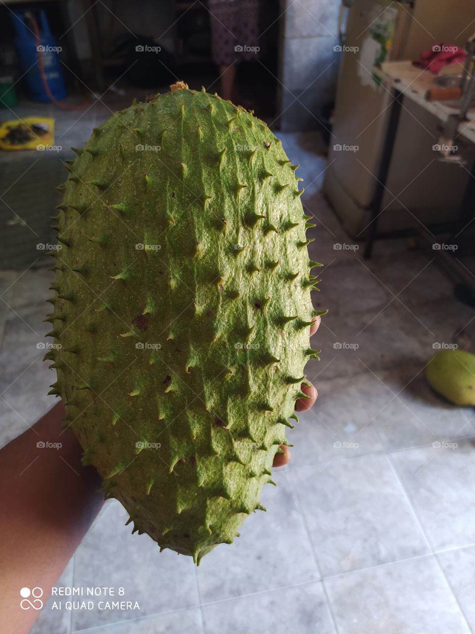 Fruit, Food, Nature, Exotic, Pulp