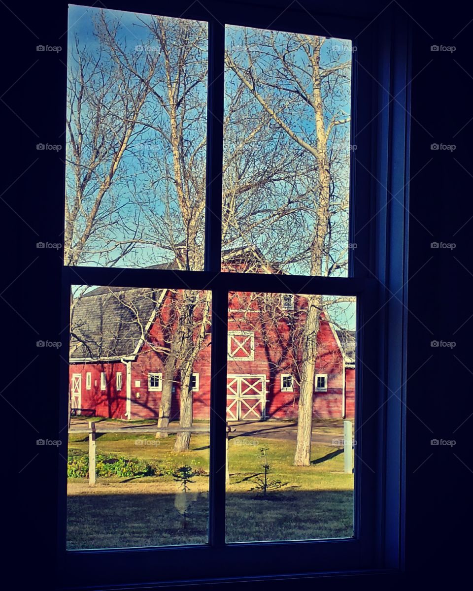 Window, Fall, Wood, Architecture, Old