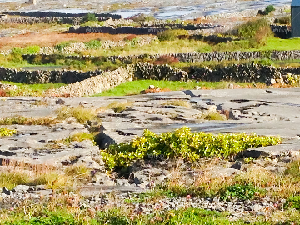 Irish Landscape Stone Walls