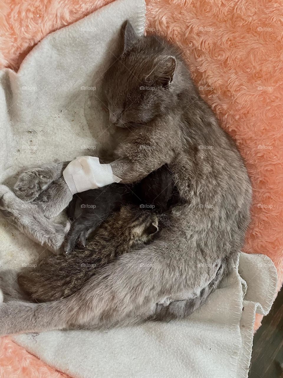 ‘’I got a little sick’’ 😢