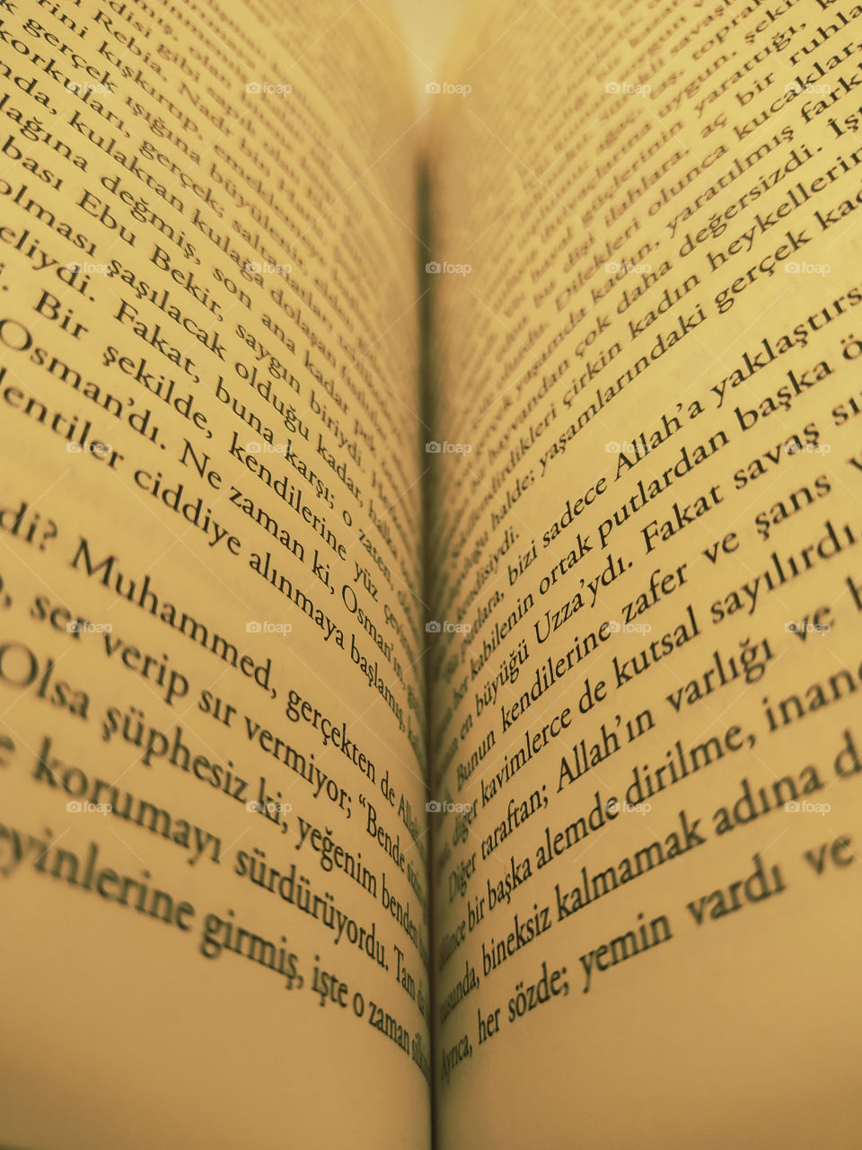 Reading islamic book