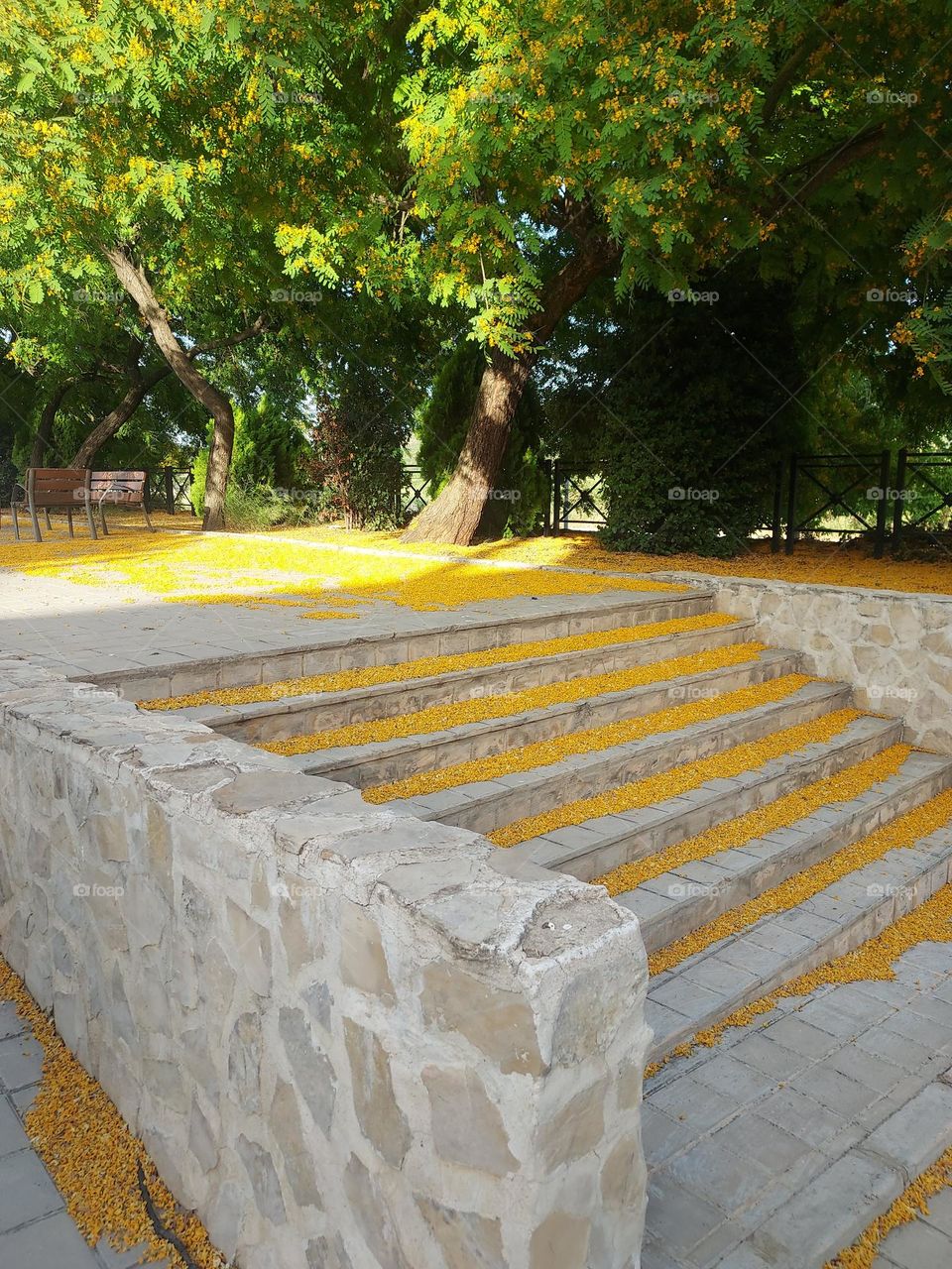 yelow steps