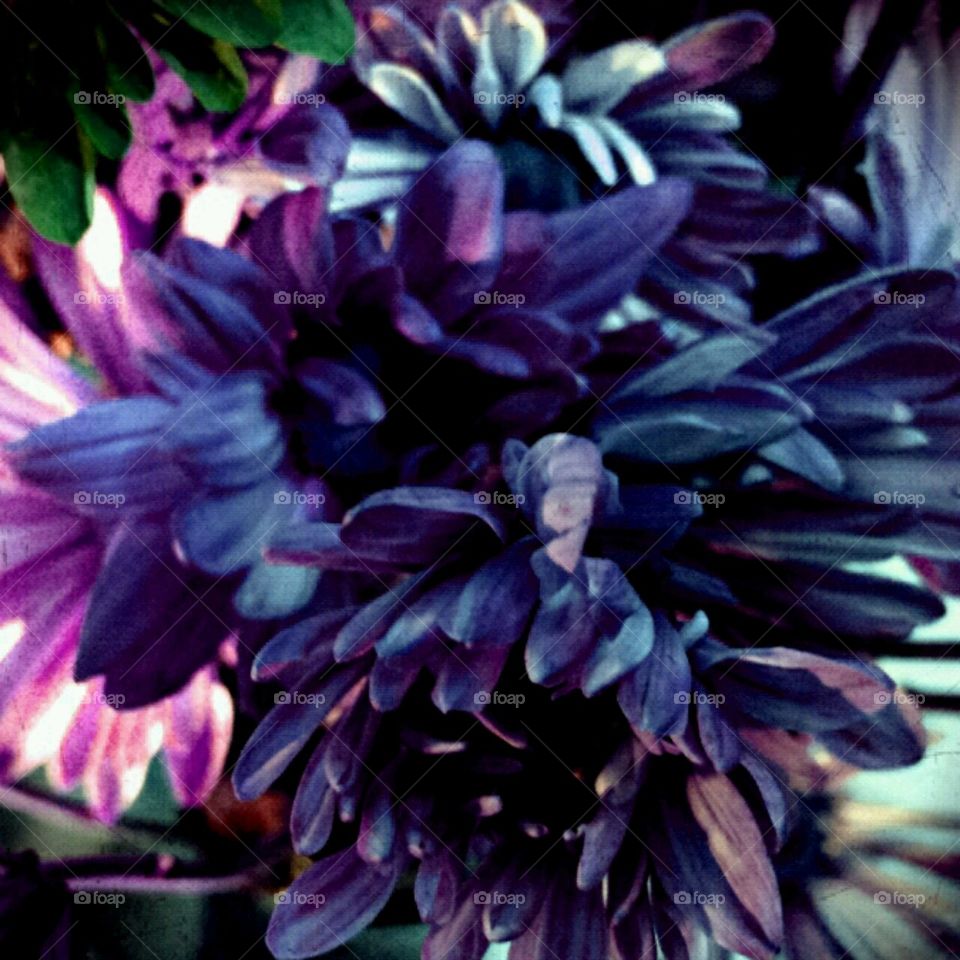 simply beautiful. lighting effects