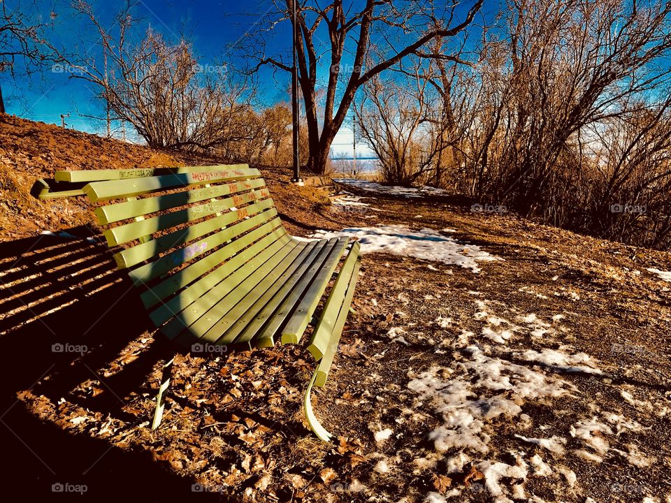 A bench in the park on a Late spring day