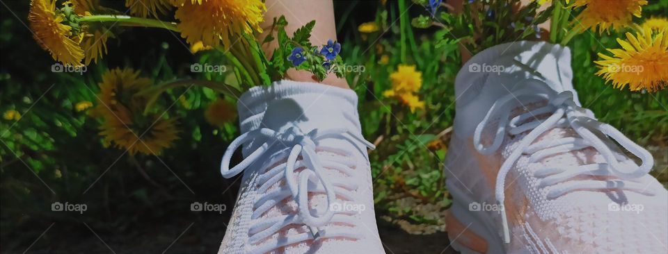 yellow dandelions in socks