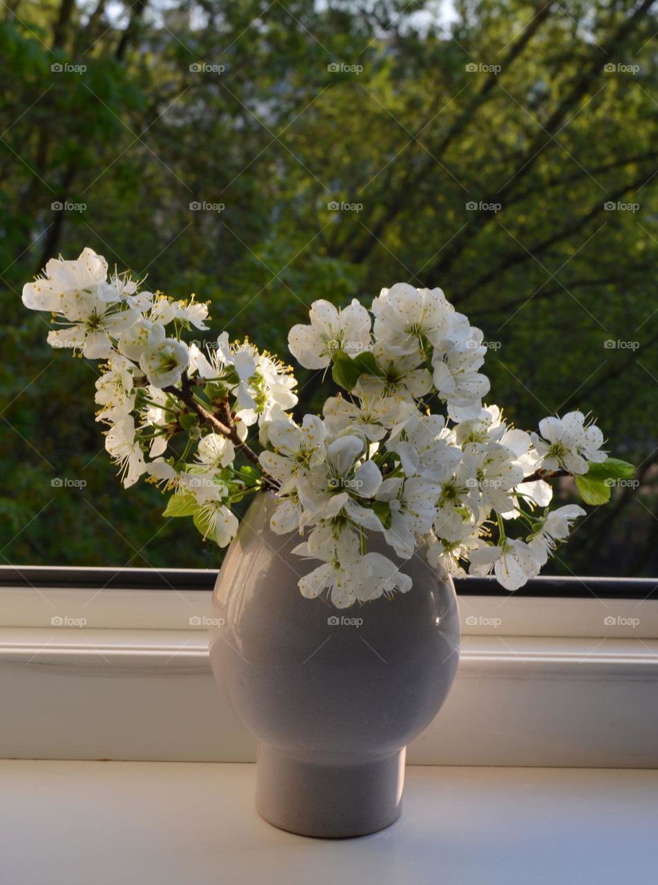 flowers in vase, summer time