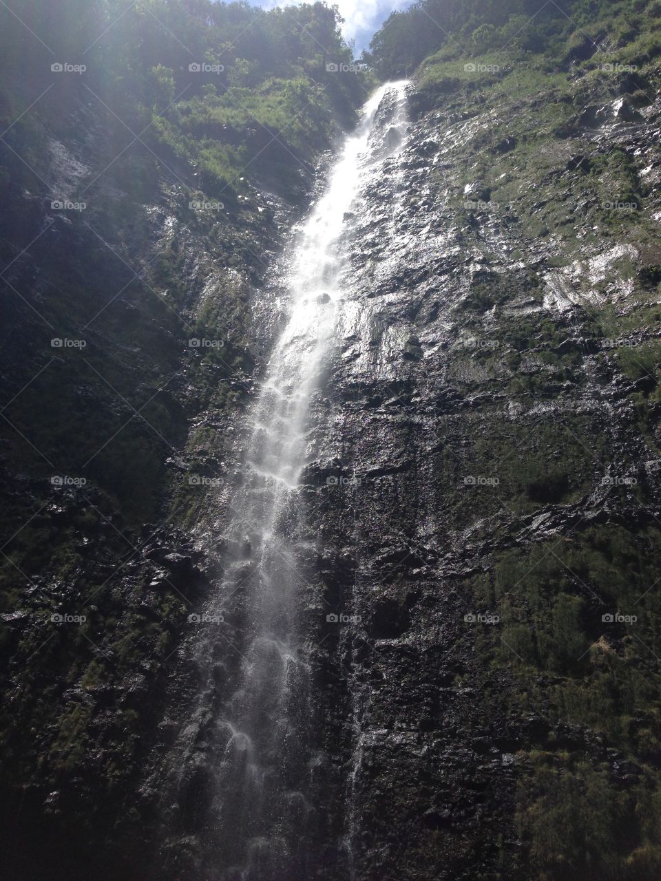 maui waterfall. maui waterfall