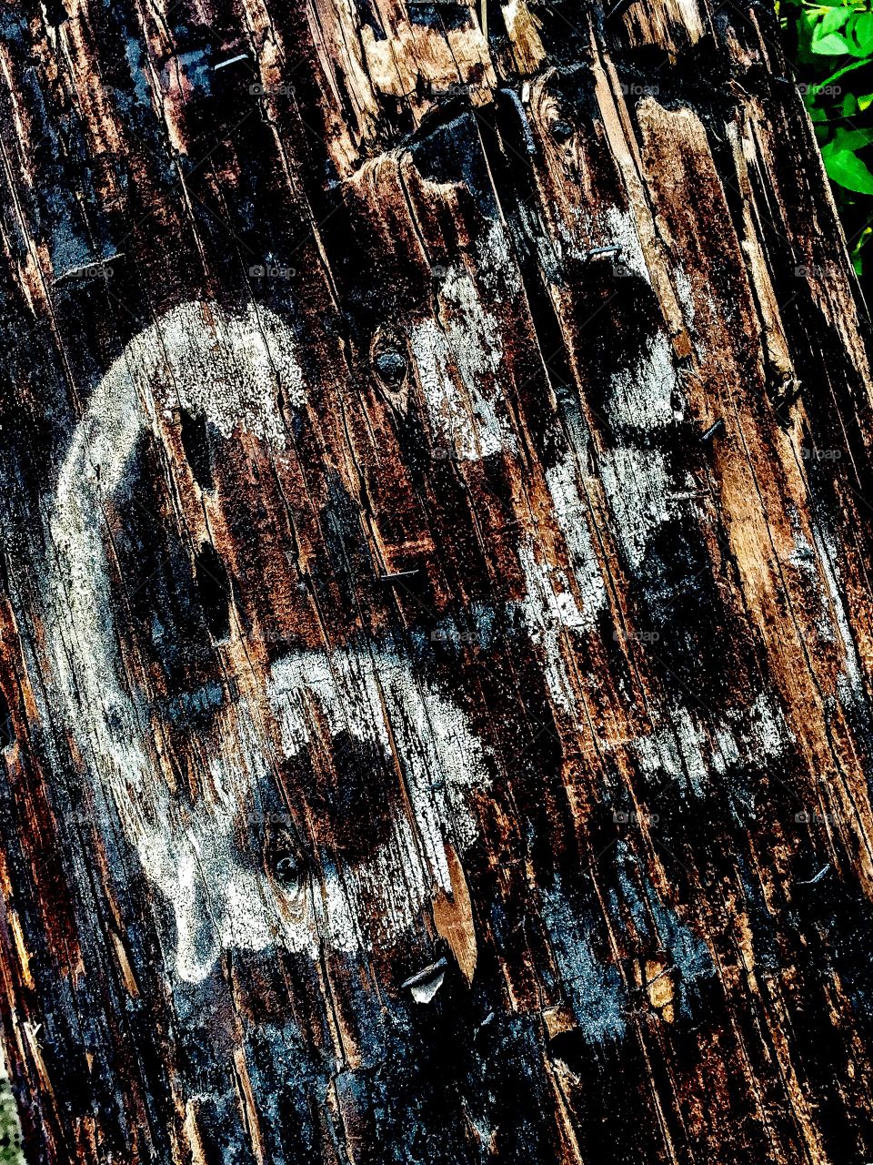 Randomness of Numbers 