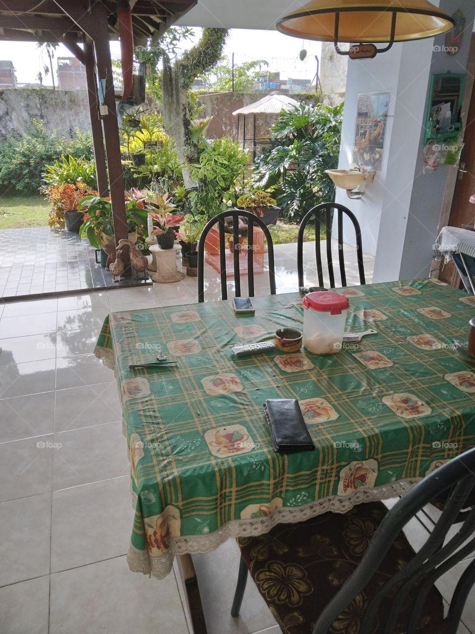 my dining room overlooking the garden