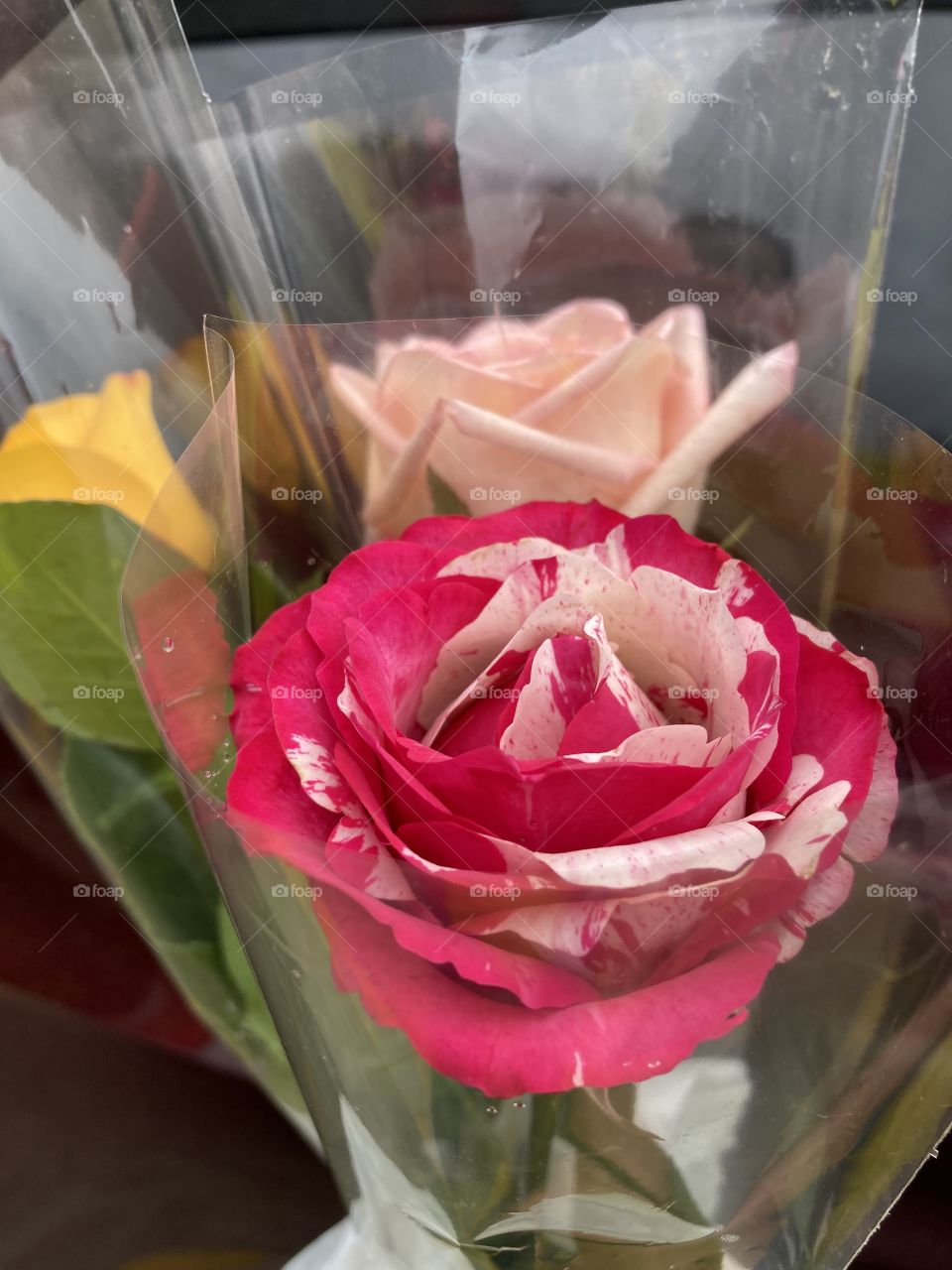 Very beautiful flowers to give to your beloved wife! Pleasing those you love will always be worth it! / Flores muito bonitas, para presentear a esposa querida! Agradar a quem se ama, sempre valerá a pena!