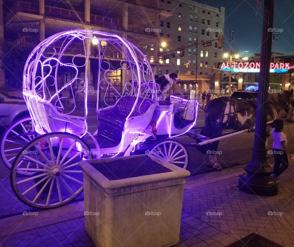 Horse Drawn Carriage