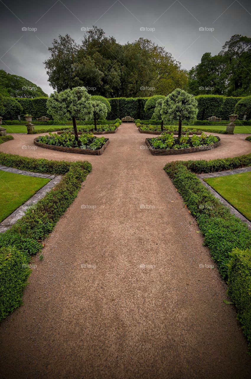 Symmetry in garden