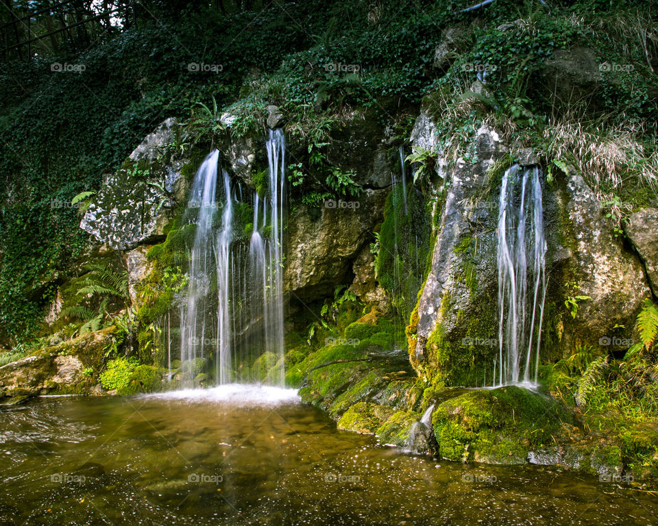 Waterfall, Moss, Nature, Water, Wood