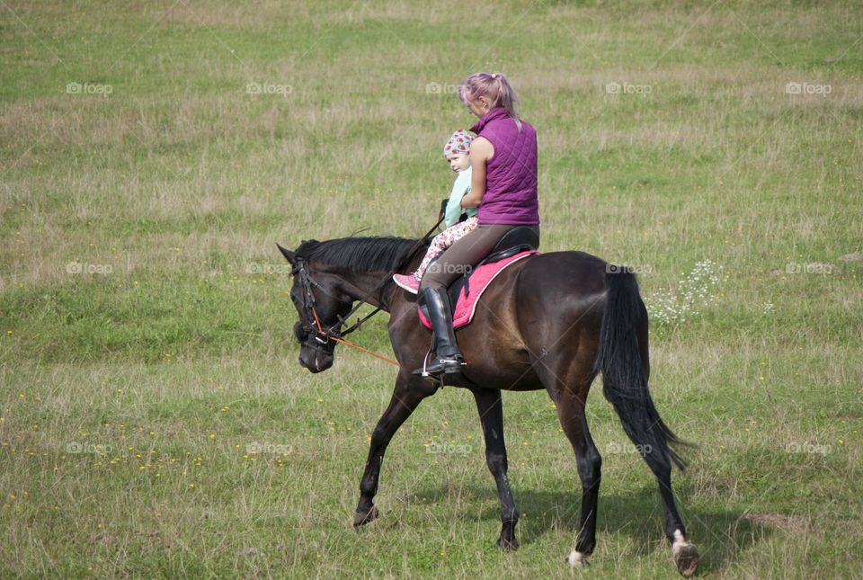 girl  at a horse