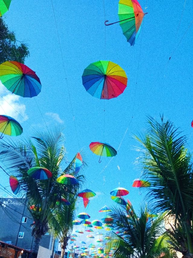 guardas chuvas sob céu azul!