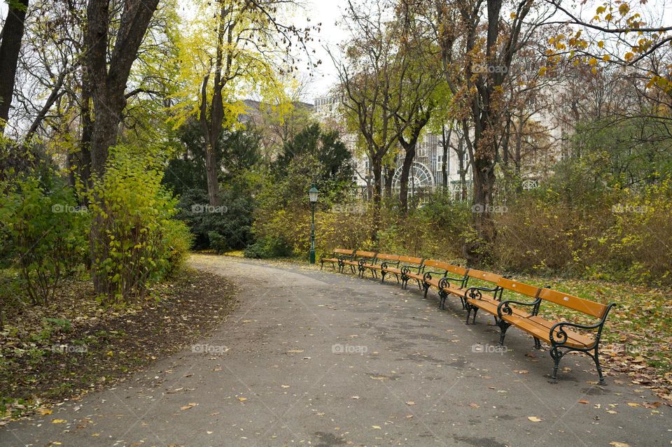 park in winter with empty benches