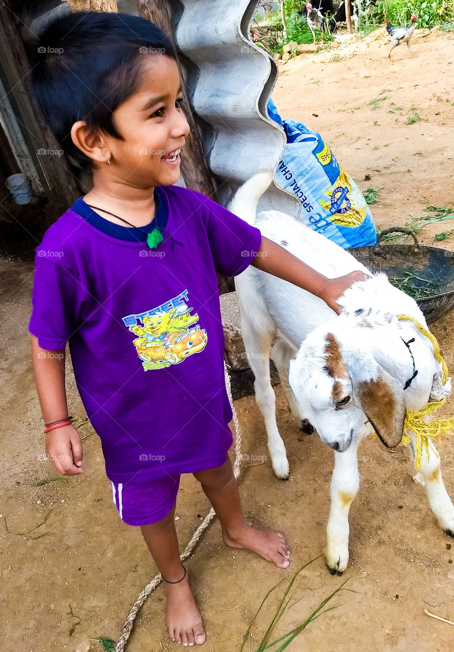 Child playing with a goat buckling