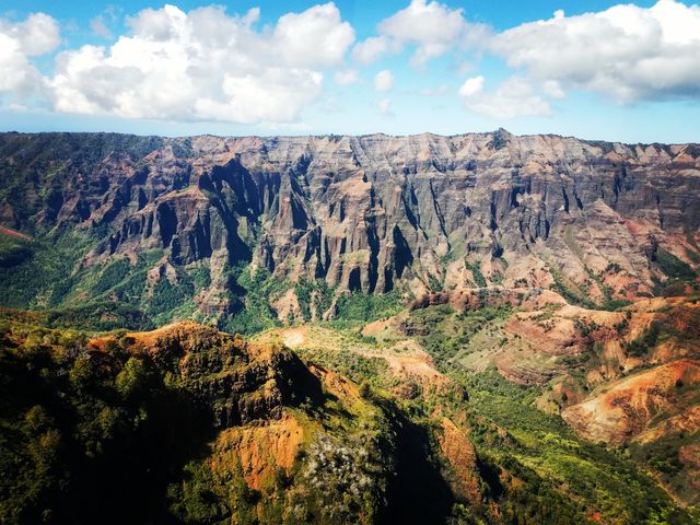 View of nature