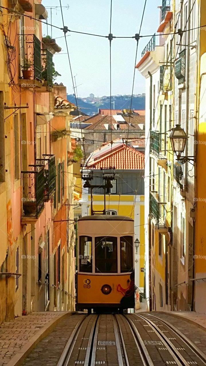 Lisbon