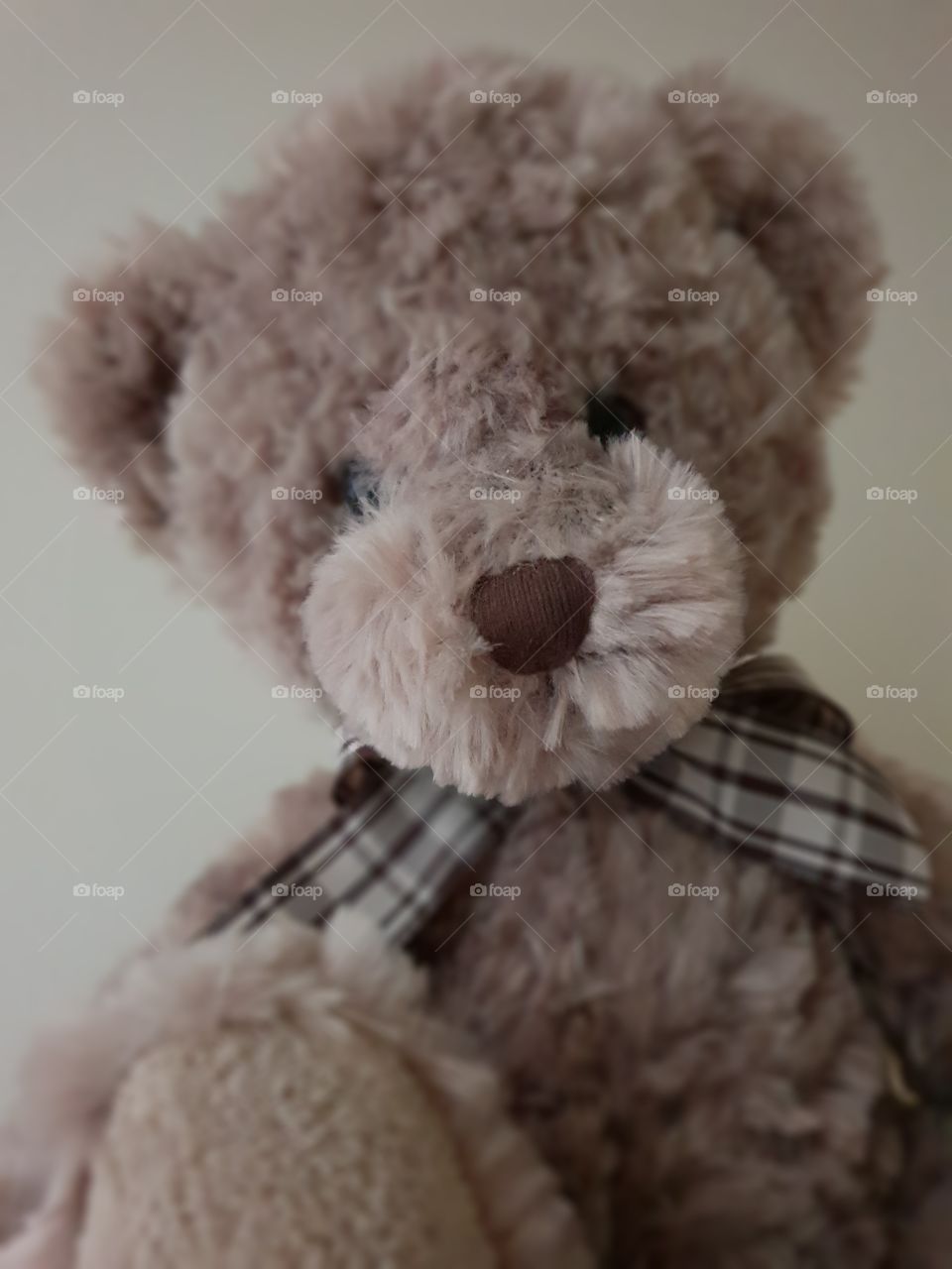 cuddly fluffy teddy bear toy