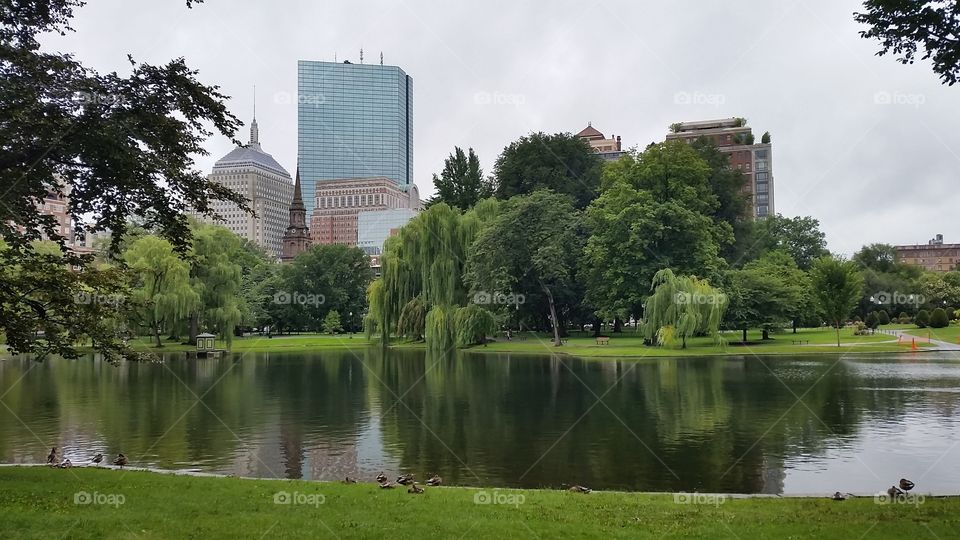 Park view. walking in the rain at Boston park . beautiful view