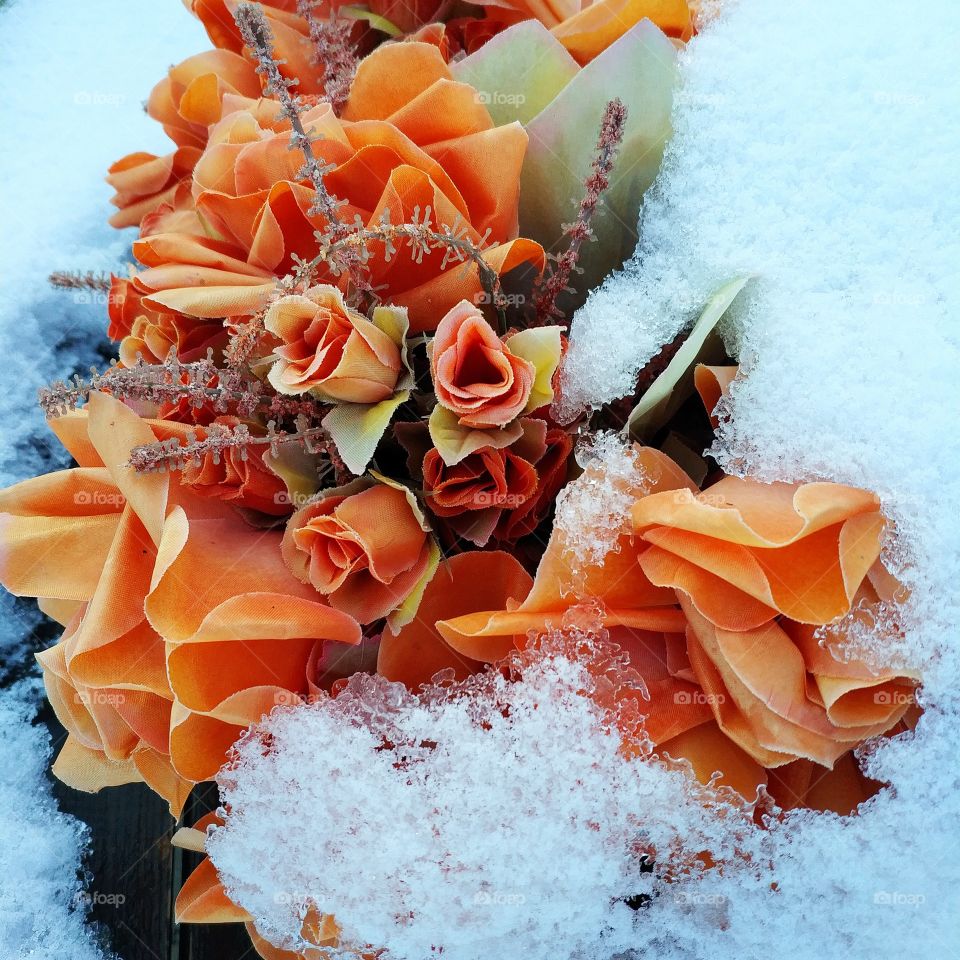 A Song of Ice and Flowers