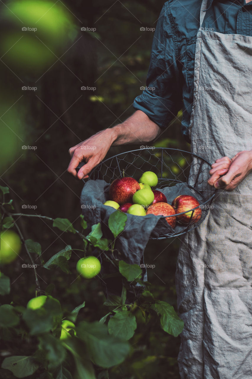 Man holding basket with apples