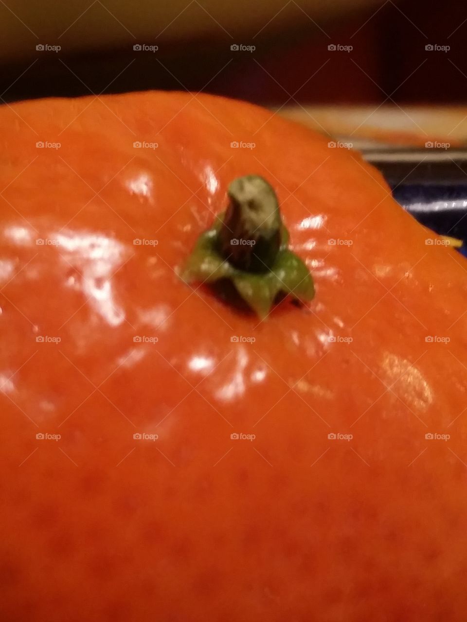 Clementine tangerine dream