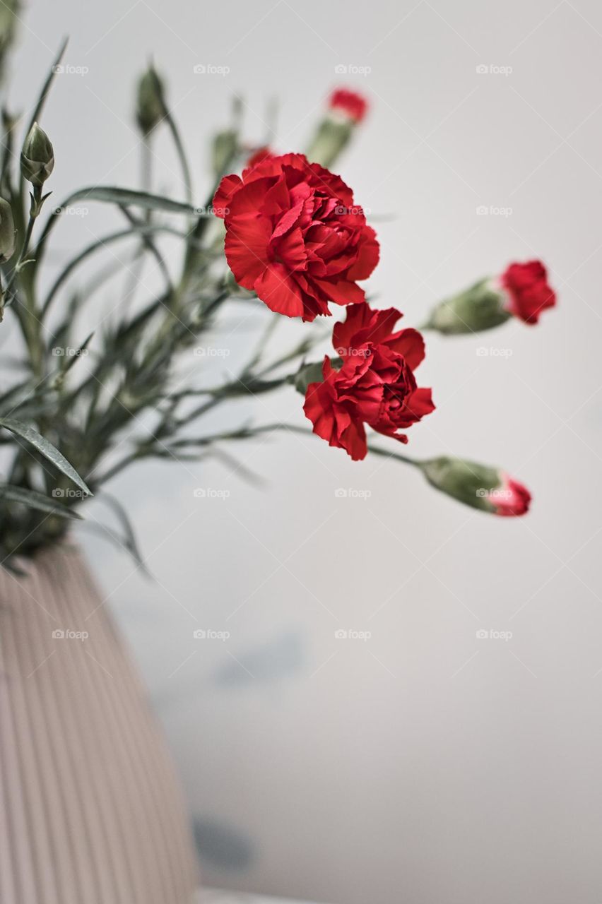 Magenta flowers in the vase on the table