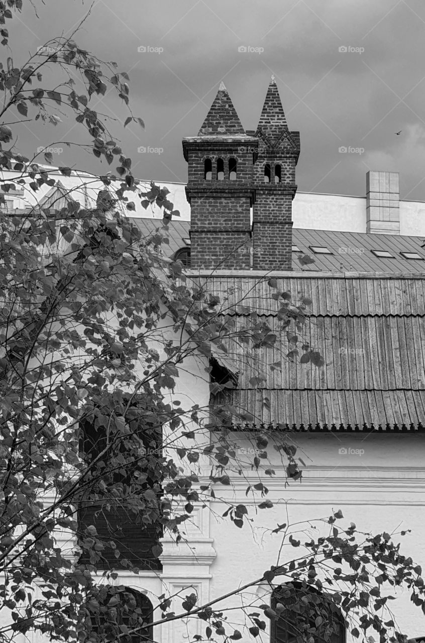 Russia.  Moscow, English Chambers.  Monochrome urban spring landscape with a beautiful roof of a historic building and tree branches