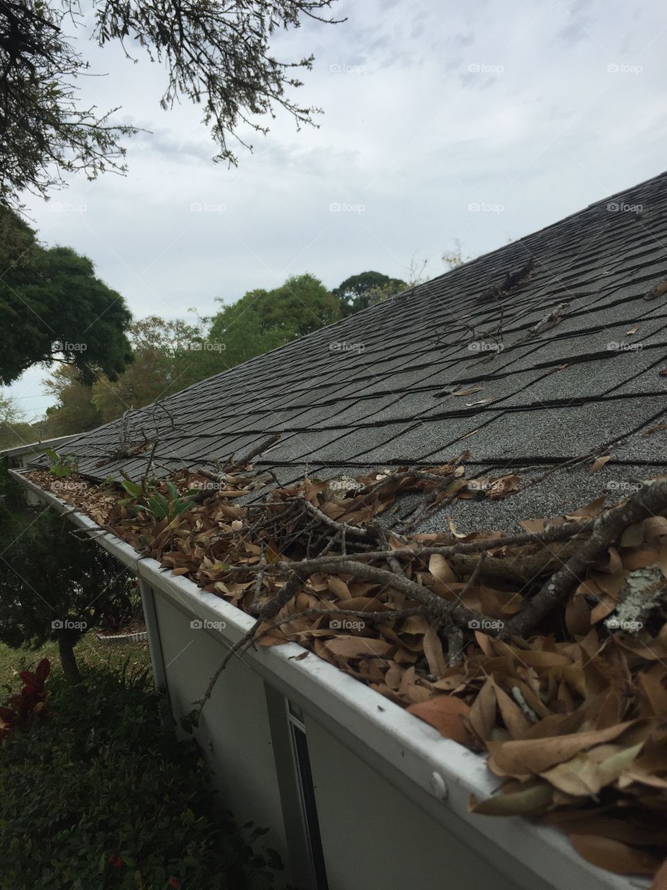 Roof Gutter Cleaning 