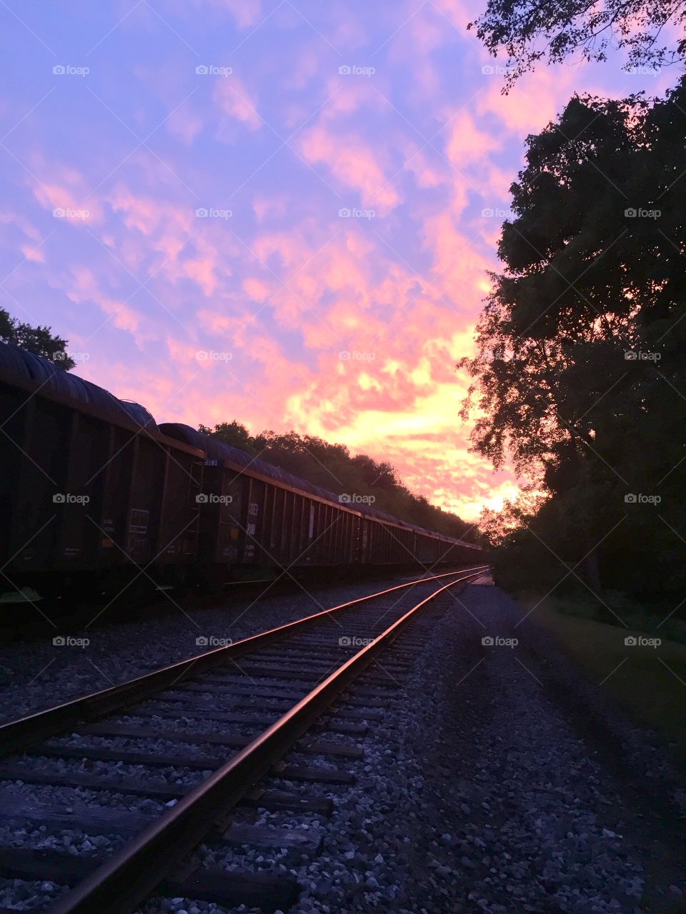 Evening train, evening sky 