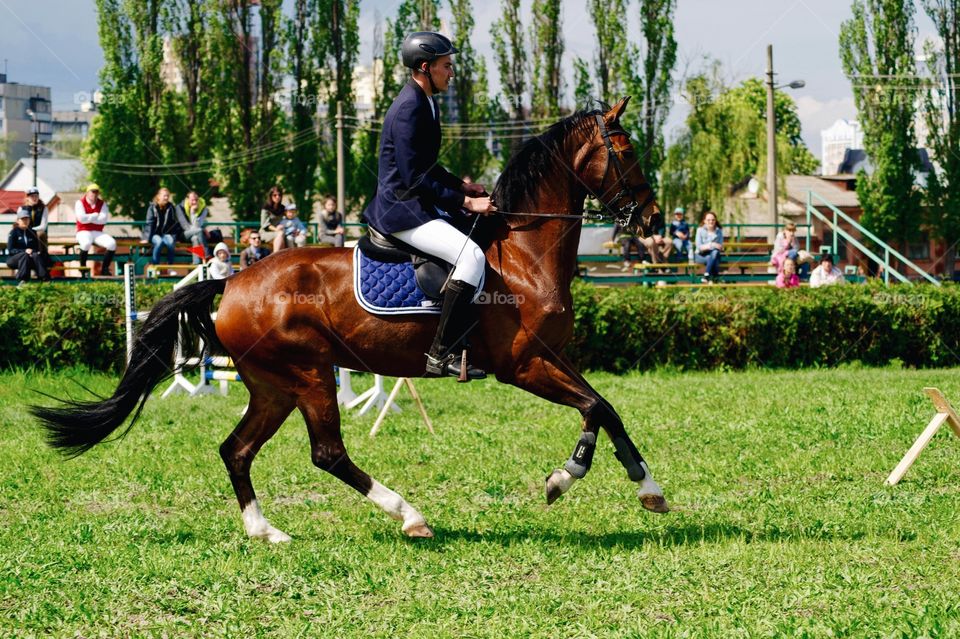 jumping, jumping, horse, rider, jump, arena, competition, sport, sports event , award, training, horses, equestrian, equestrian events, competitions for overcoming obstacles, difficulty, hurdle, height, jumping field, athlete, courage, determination, strength, barrier, balance, flight, landing, flexibility, ponies, breed horses, the color of the horse, bell, signal, flags, route, referees, uniforms, helmet, uniform, riding jacket, white tie, whip, saddle, boots , suit, boots, leggings, Bridget, scheme, error, error, fall, Docker, gate , ditch, tee, wall, wicket, Finn. cross, Auxerre, sports, health, sports man, talent, sport, animal, beautiful, fast, hardy,