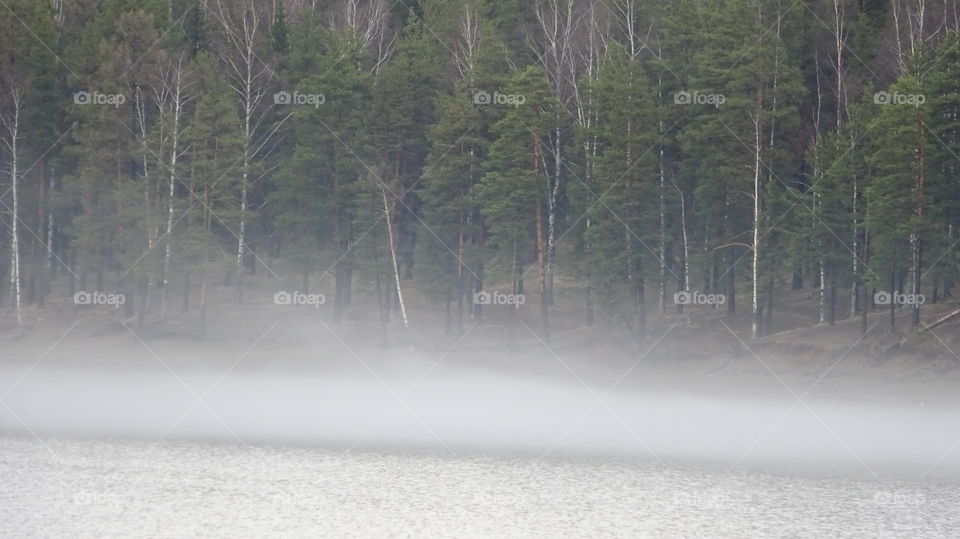 fog over the pond after the May thunderstorm