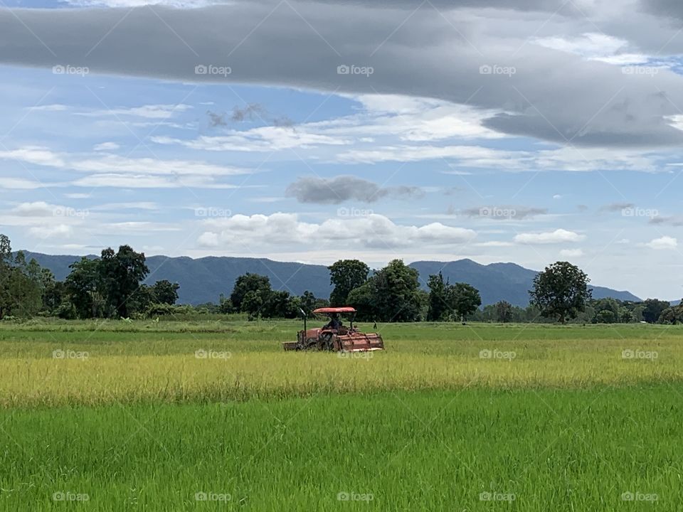 This is why I love my job, Countryside (Thailand)