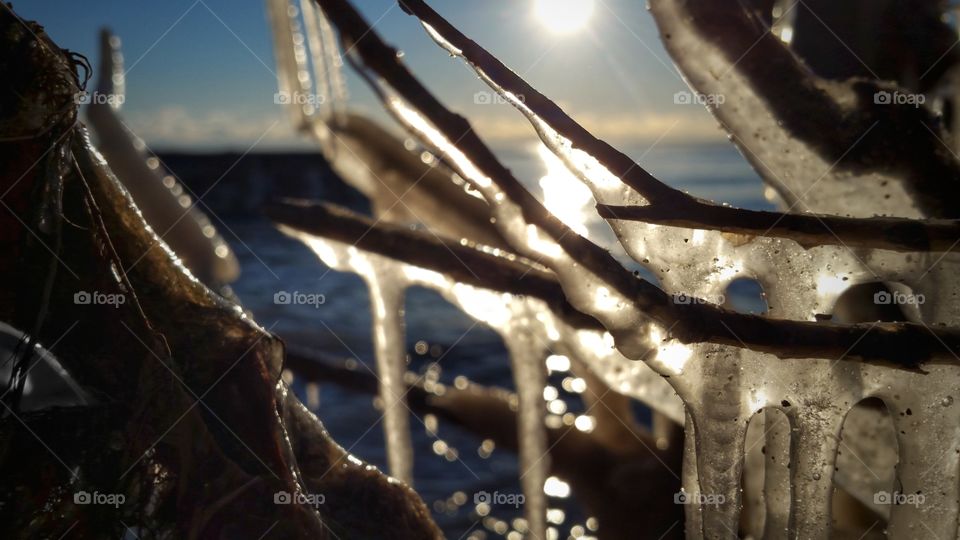 icicles at sunrise