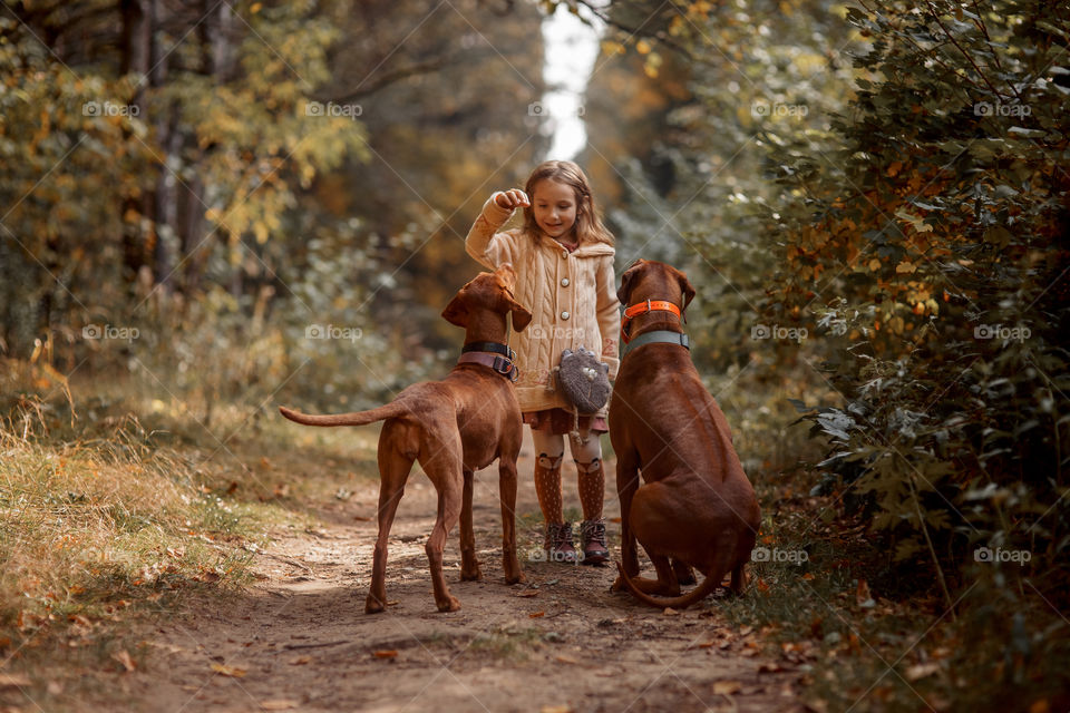 Little girl playing with dogs in an autumn park