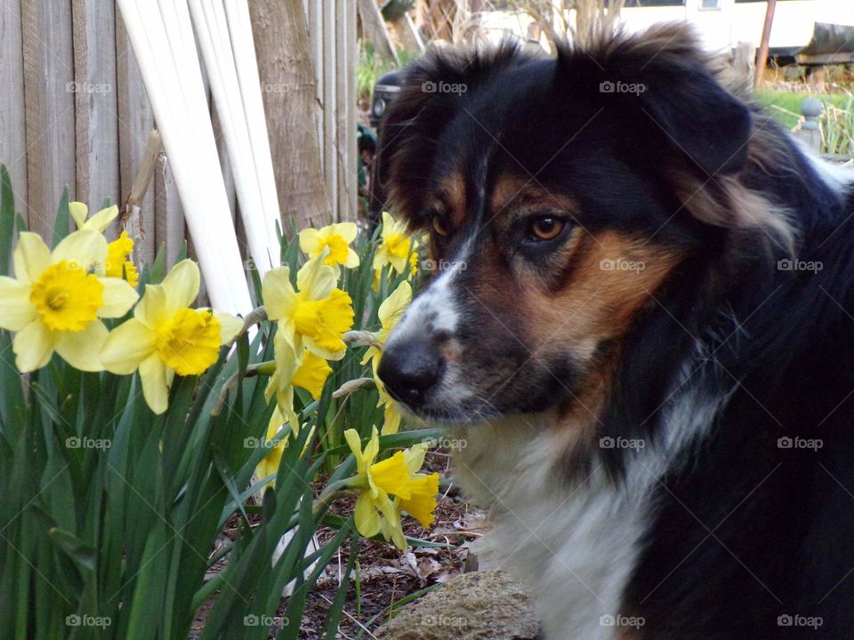 helping  with the flower garden.