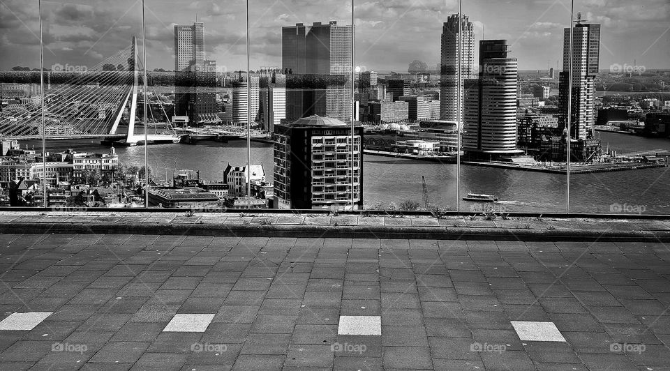 Rotterdam on the wall