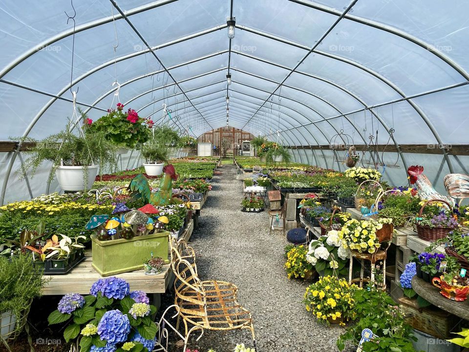 Plants and garden supplies in a greenhouse 