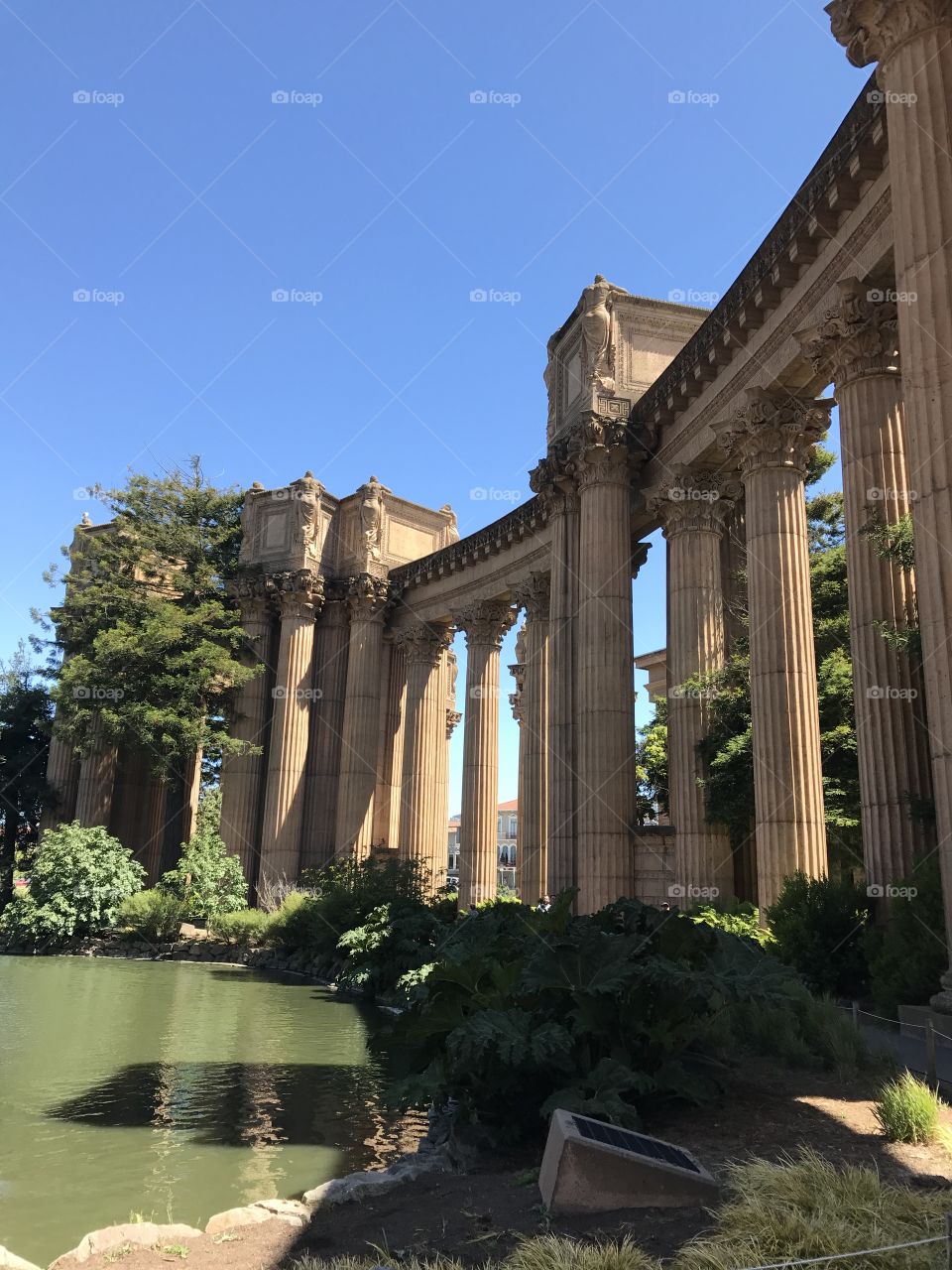 The Palace of Fine Arts