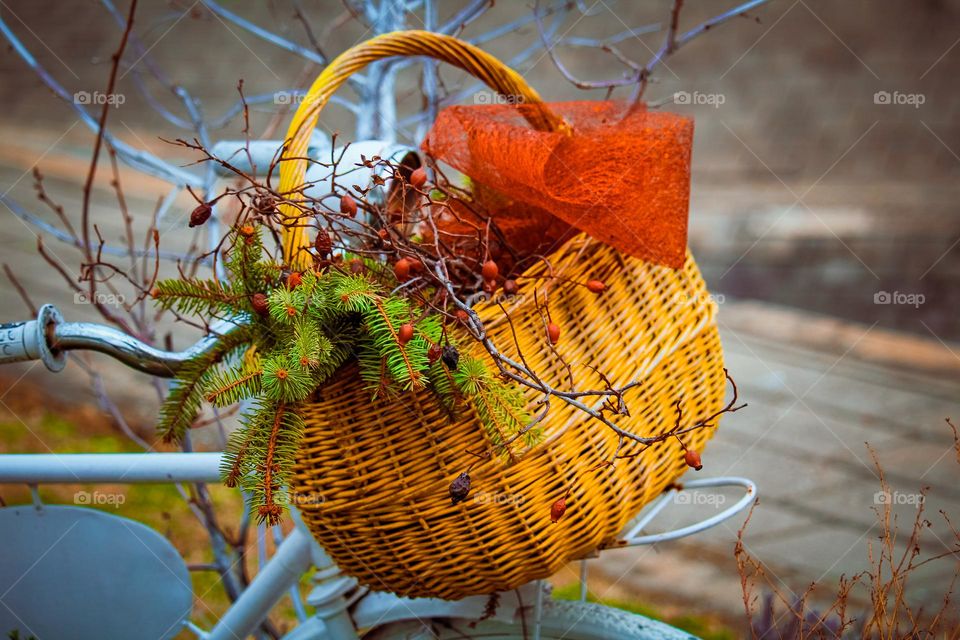 Basket at the bicycle