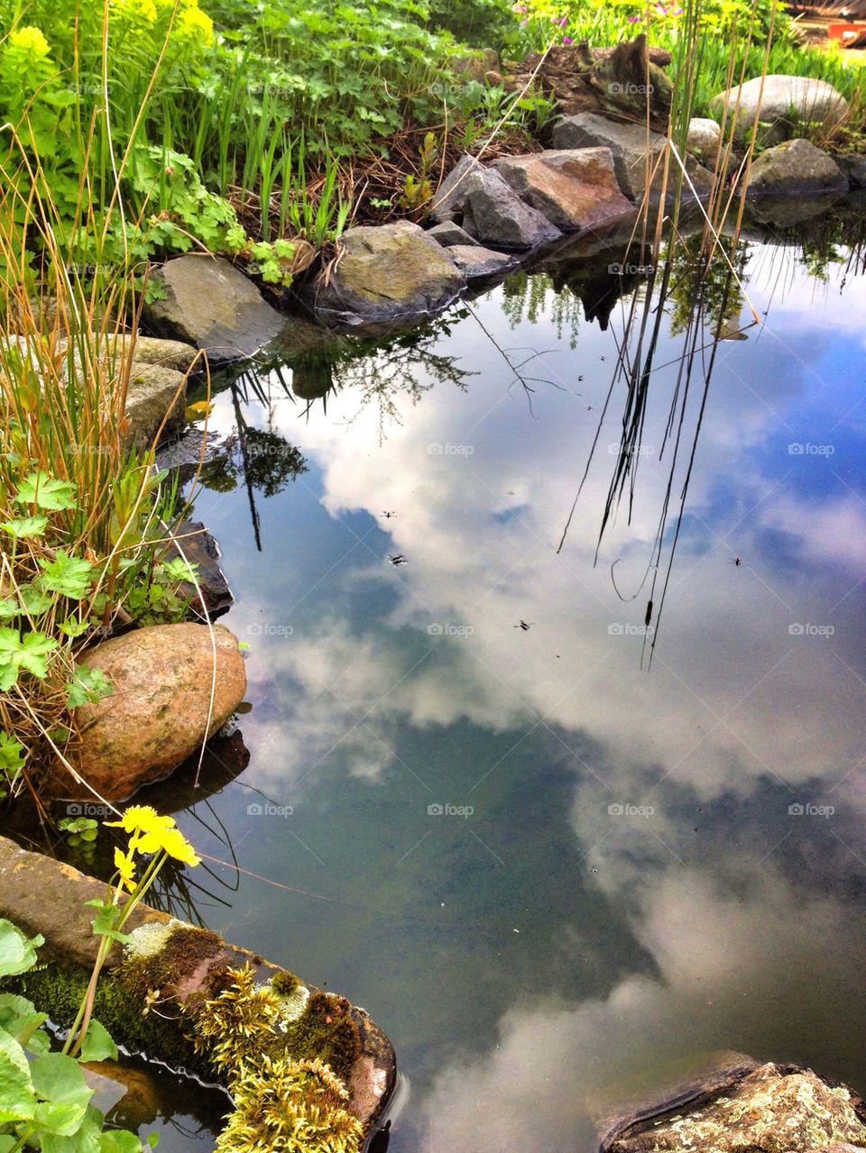 mother's pond in her backyard or heaven is on earth.