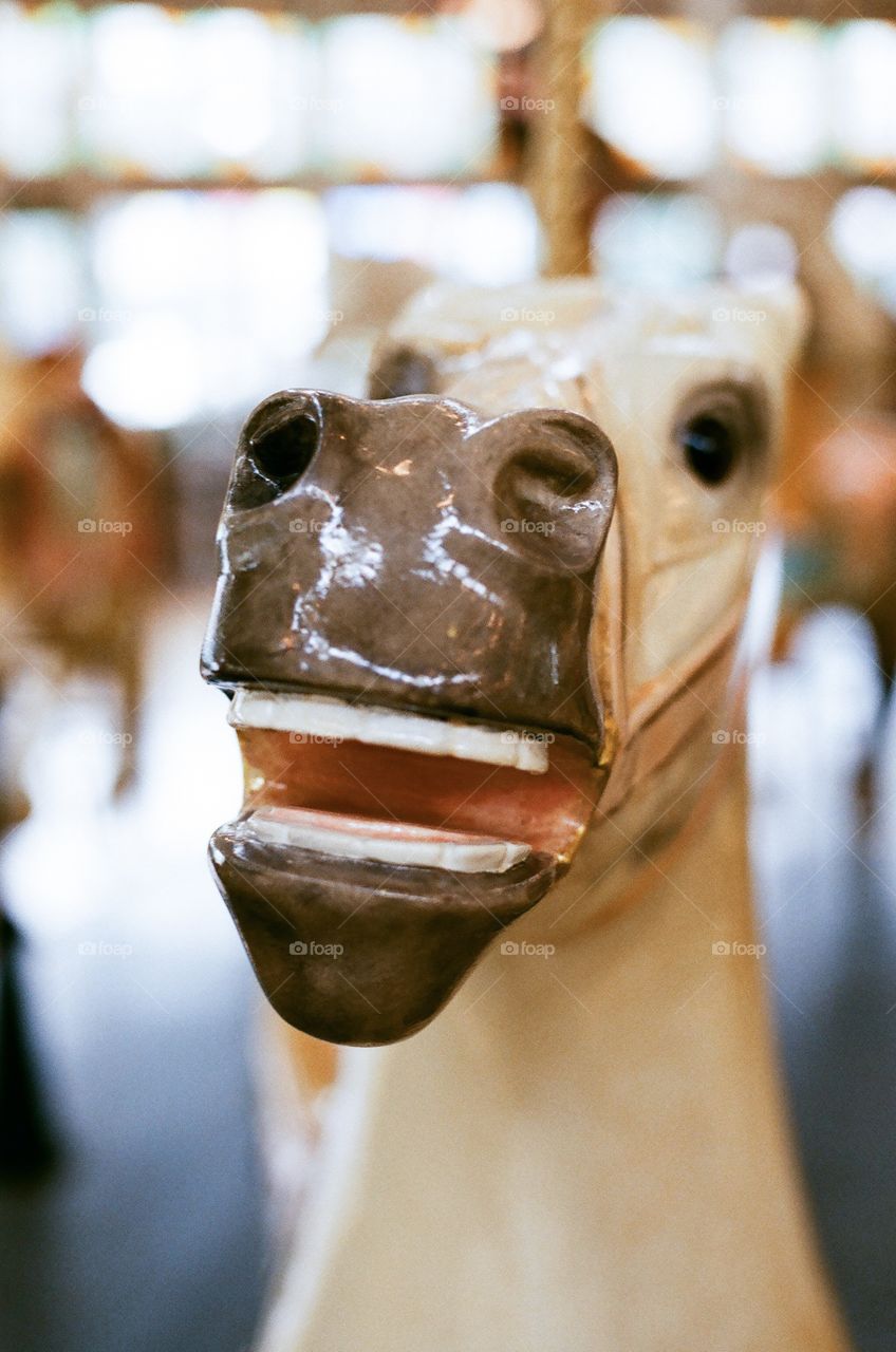 Carousel horse mouth in focus