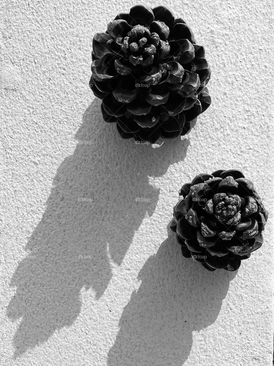 Cones and shadows 