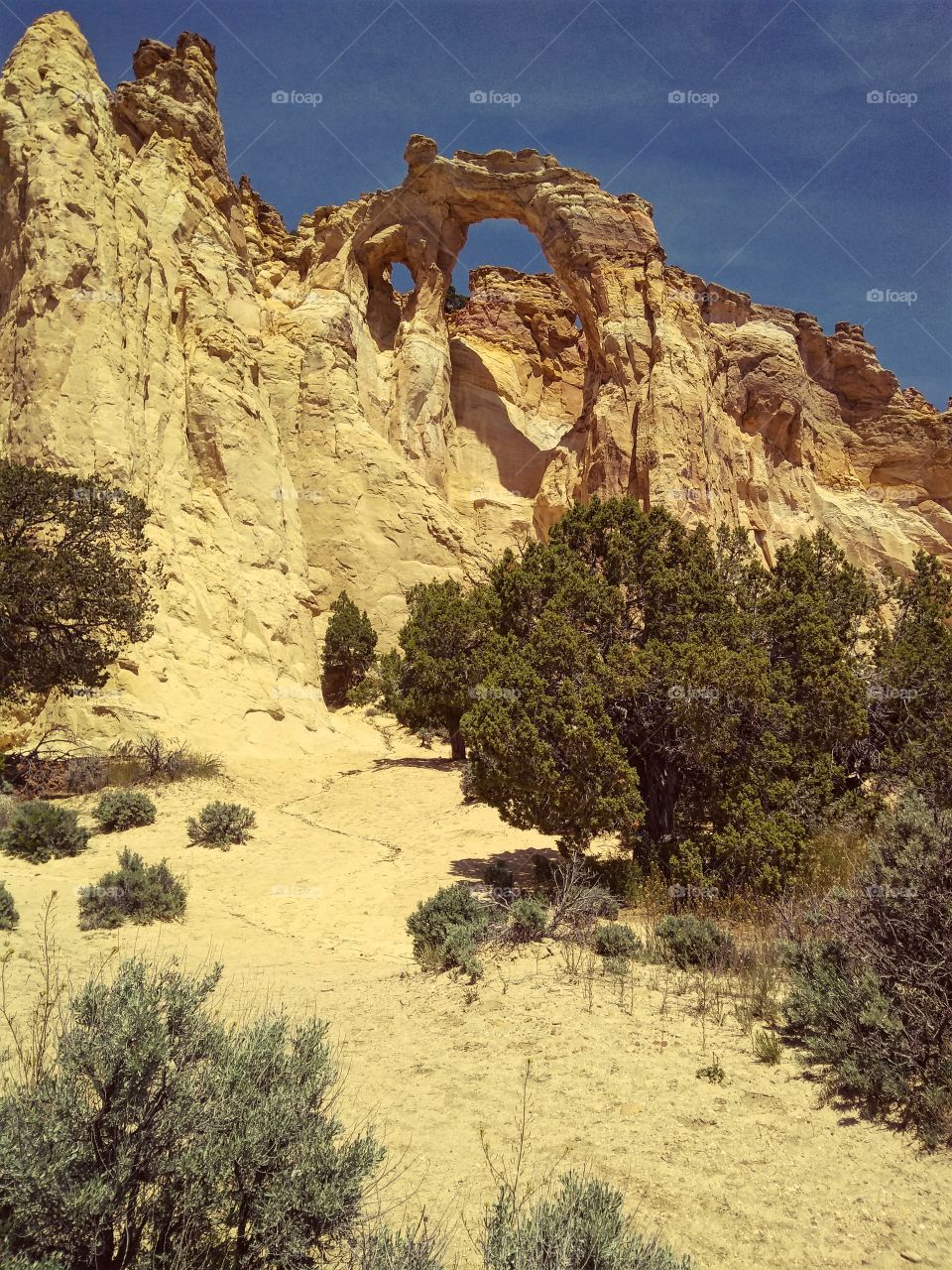 Arch near Cannonville, Utah