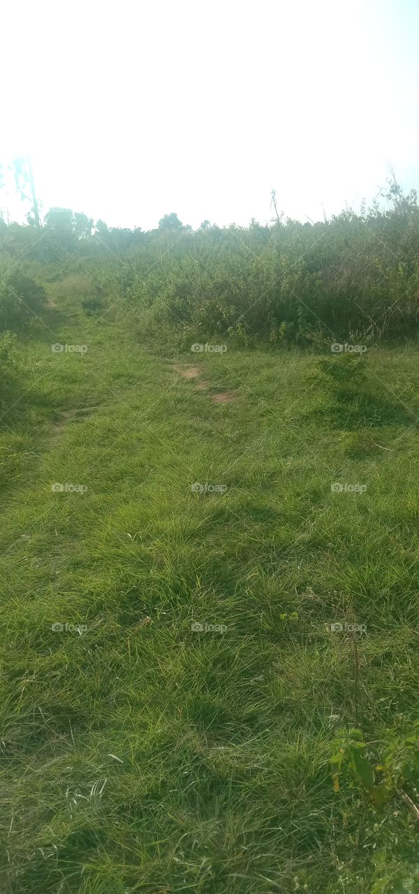 When you go green 💚✨