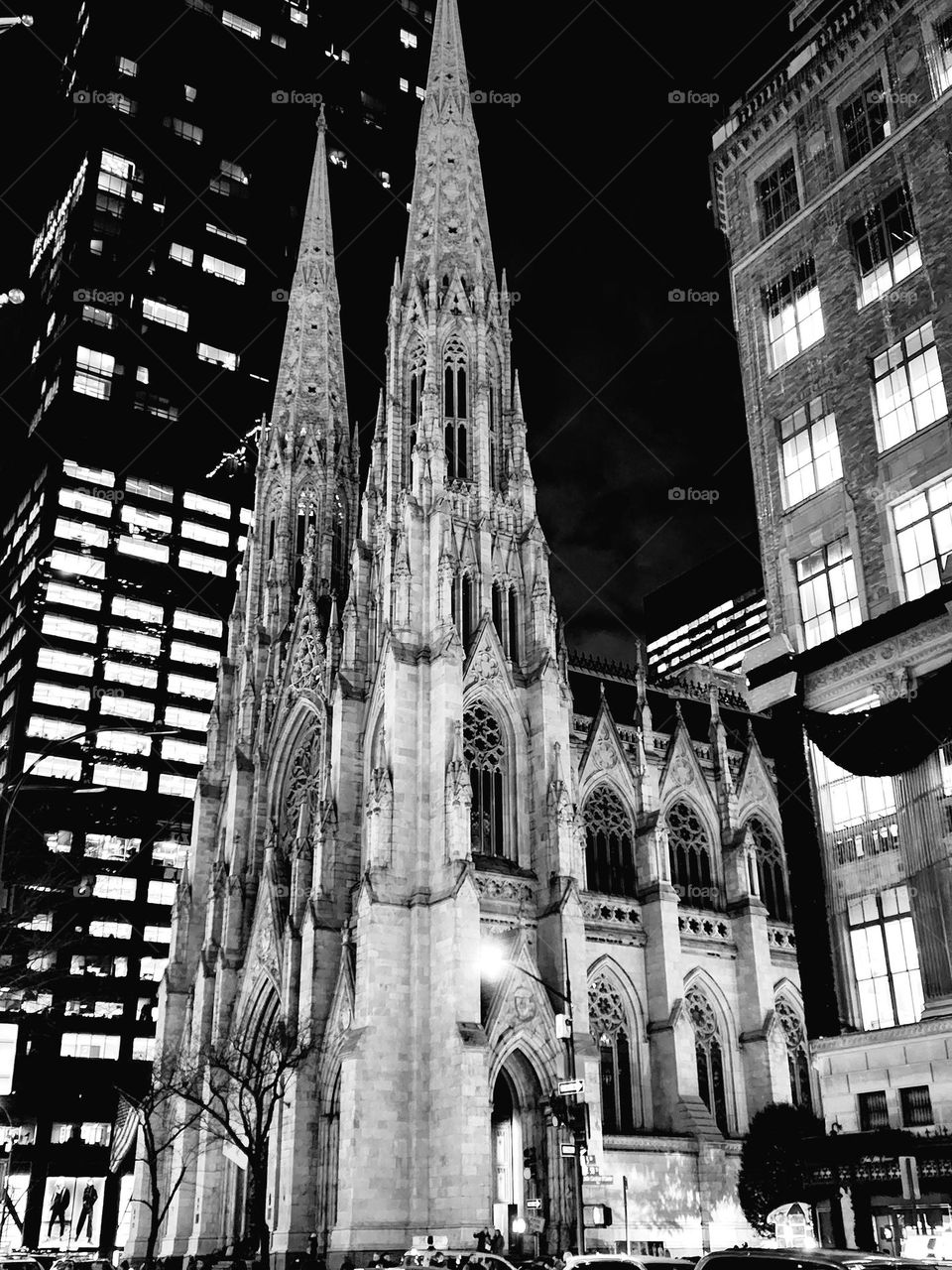 Saint Patrick's Cathedral in New York City is a neo-gothic structure built in the 1870's and serves as a well known landmark