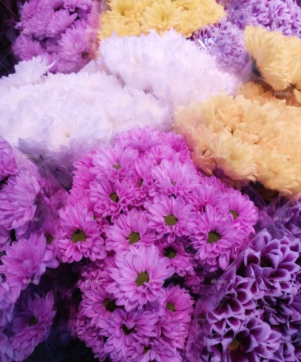 colorful flowers bouquets background