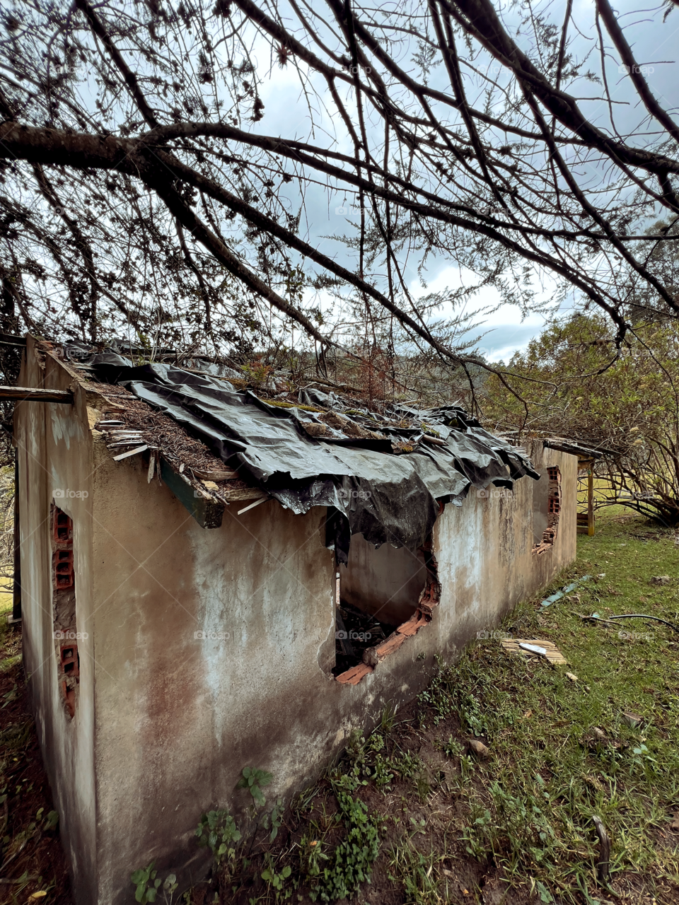 Abandoned house 